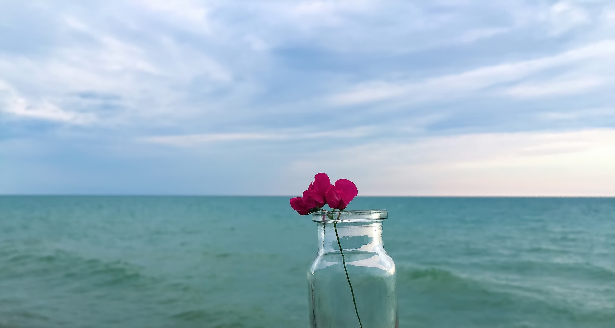 Pink flower in a glass jar with serene water in background